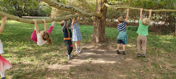 46126206010745267240063507232960725054718002n